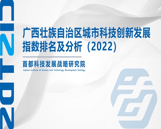 污污视频下中国人事考试网官网【成果发布】广西壮族自治区城市科技创新发展指数排名及分析（2022）